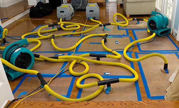 Professional Crawl Space Water Removal technician working in Keasbey, NJ